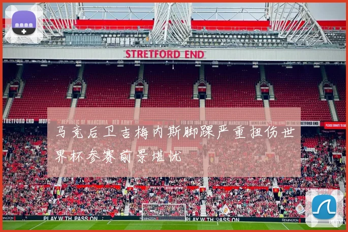 马竞后卫吉梅内斯脚踝严重扭伤世界杯参赛前景堪忧
