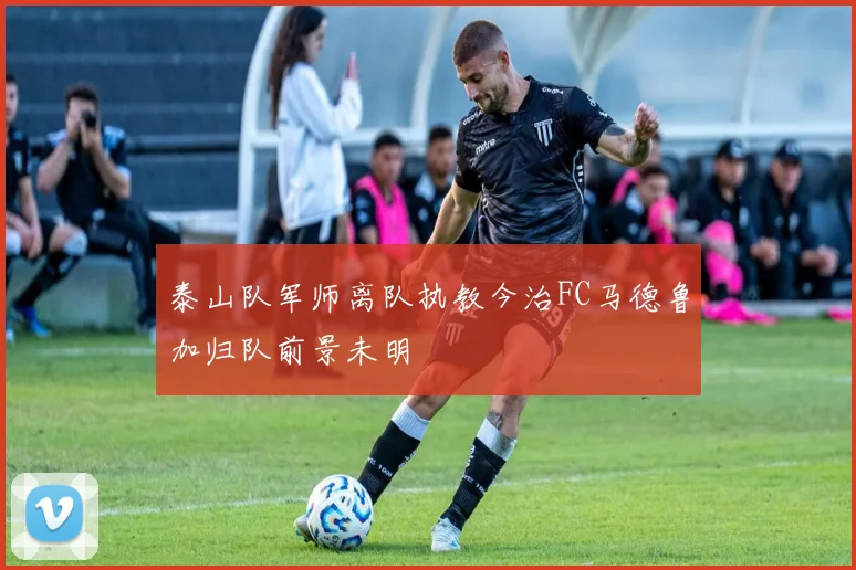 泰山队军师离队执教今治FC马德鲁加归队前景未明