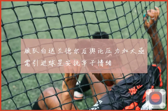 狼队白送兰德尔后舆论压力加大亟需引进球星安抚华子情绪