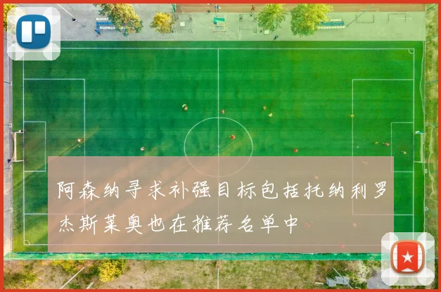 阿森纳寻求补强目标包括托纳利罗杰斯莱奥也在推荐名单中
